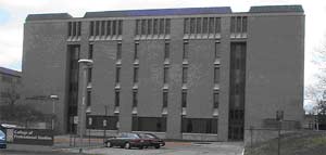 Picture (300x143, 6.2Kb)