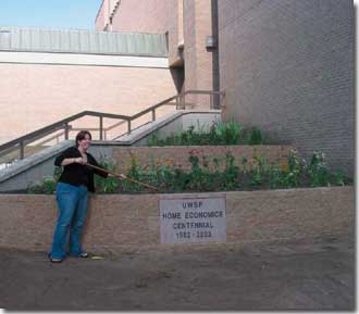 Picture (330x289, 10.5Kb)