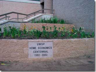 Picture (330x249, 12.5Kb)