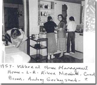 Picture (325x285, 14.5Kb)