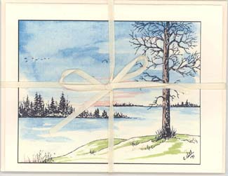 Picture (325x251, 14.4Kb)