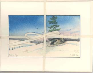 Picture (325x255, 9.2Kb)